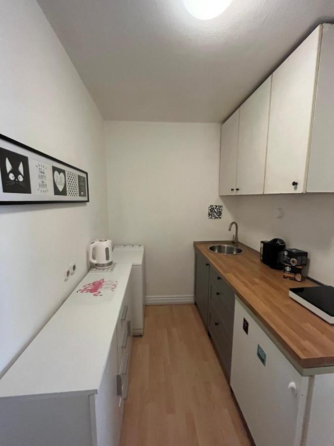 Apartment Flamingo Ljubljana Bagian luar foto